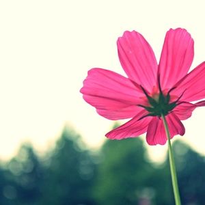 Meet your Posher, Betty